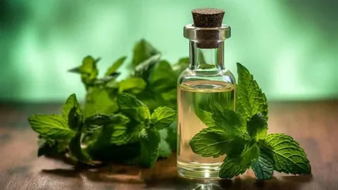تصویر 3 از خرید عرق نعنا شیشه ای + بهترین قیمت